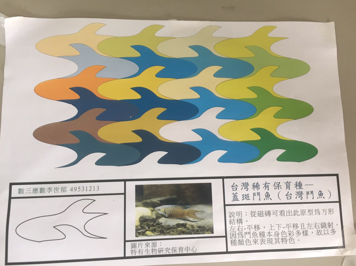 高師大數學系李世裕同學幾何學報告_鬥魚磁磚_完成圖